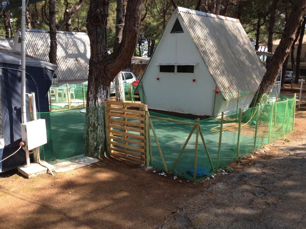 Olympos Beach Plaka Litóchoro Exterior foto